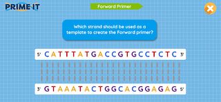 Prime It DNA Game - Screenshot 3