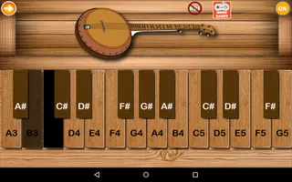 Professional Banjo - Screenshot 1
