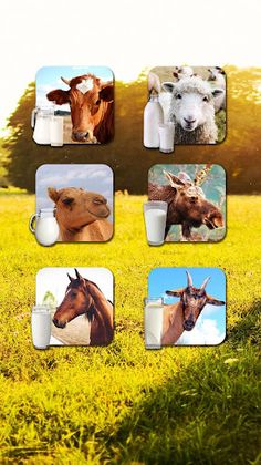 Milking Cow Game - Screenshot 3