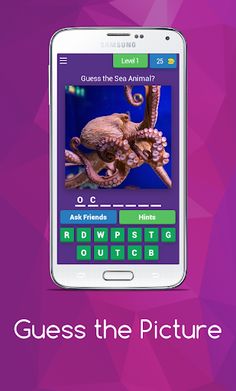 Guess the Picture - Screenshot 1