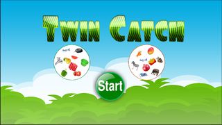 Twin Catch - Screenshot 1