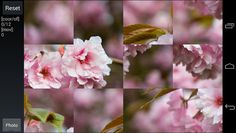 The Puzzle Game - Screenshot 4