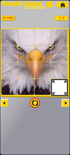 Puzzle Animal - Screenshot 3