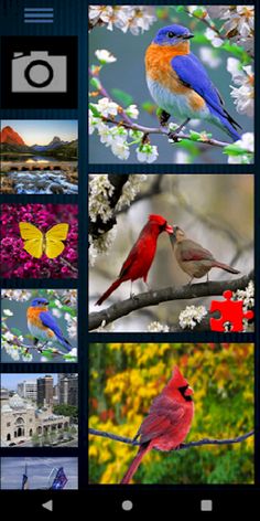 Puzzle Rompecabezas Paisajes y - Screenshot 2