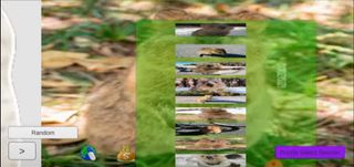 Quokka Quokkas Jigsaw Jigsaw P - Screenshot 1