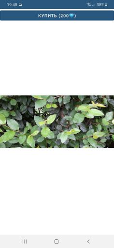 Vivid collection по непр. глаг - Screenshot 2