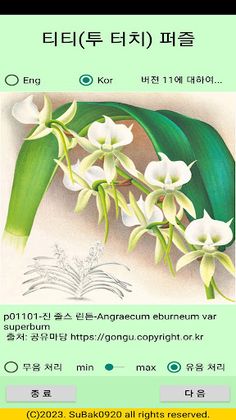 ttpuzzle11 - Screenshot 1