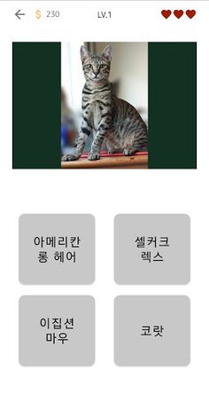 고양이 퀴즈 - Screenshot 2