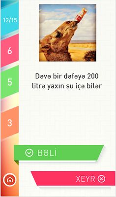 BəliXeyr - Screenshot 3