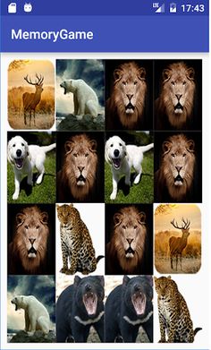 MemoryGame - Screenshot 4