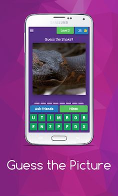 Guess the Picture - Screenshot 3