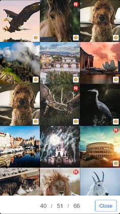 Shredded Puzzle - Screenshot 3