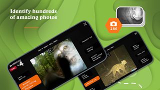 Unseen Empire: Animal ID Game - Screenshot 2