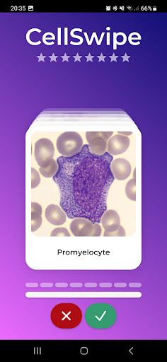 CellSwipe - Screenshot 4