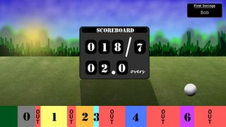 2 Player Cricket Game - CASUAL - Screenshot 1
