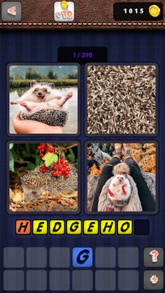 What word on the photo - Screenshot 4