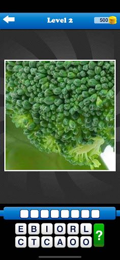 Guess the Close Up Pics Quiz - Screenshot 3