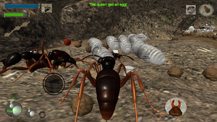 Ant Simulation 3D - Screenshot 3