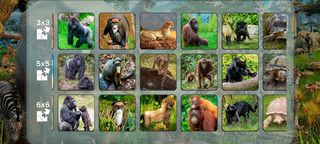Jigsaw Puzzle World: Africa - Screenshot 1