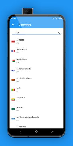 Flags Game - Screenshot 3