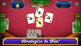 29 Card Game - Screenshot 2
