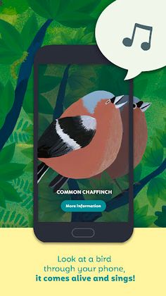 Birdie Memory - Screenshot 3