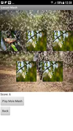 Mash the Moles and Locusts - Screenshot 2