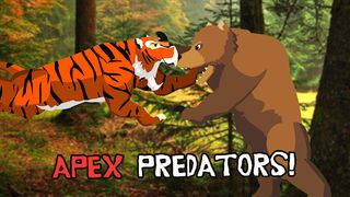 Tiger Fights Bear - Screenshot 1