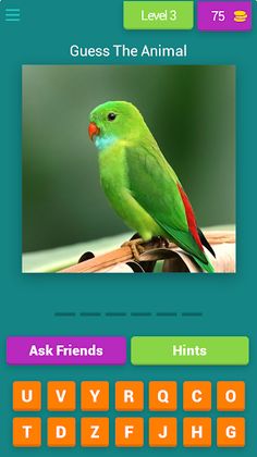 MY GUESS THE PIC - Screenshot 4