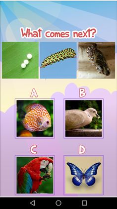 What Comes Next? (A logic app) - Screenshot 1