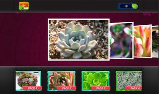 Succulent Plants Jigsaw Puzzle - Screenshot 1