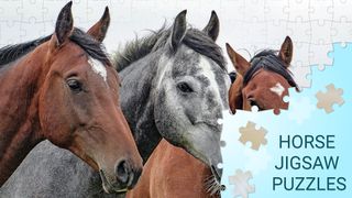 Horse Jigsaw Puzzles Games - Screenshot 2