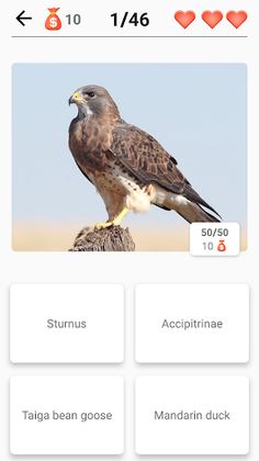 Animals - Quiz about Mammals! - Screenshot 2