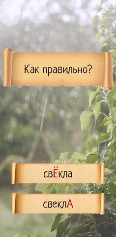 Как правильно? - Screenshot 4