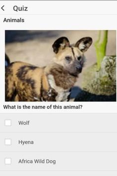 Zoo Animals Quiz - Screenshot 4