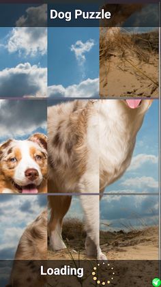 Dog Puzzle - Screenshot 2