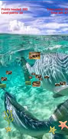 crocodile catch hungry - Screenshot 3