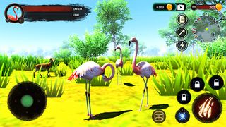 The Flamingo - Screenshot 3