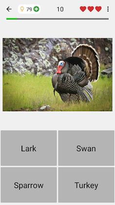 Animals Quiz Learn All Mammals - Screenshot 4
