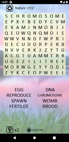 Word Search - Screenshot 3