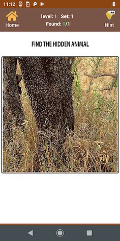 Hidden objects and Animals - Screenshot 1