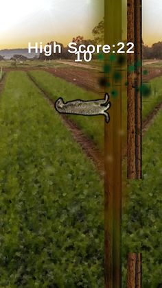 Meerkat - Screenshot 2