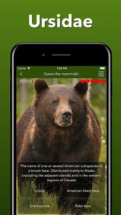 Animals for kids - Zoo Quiz - Screenshot 4