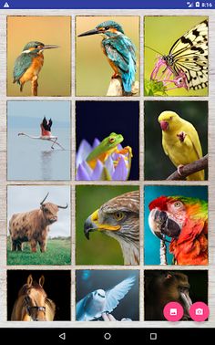Puzzle - use your own images o - Screenshot 3