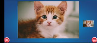 Cat Jigsaw puzzle - Screenshot 2