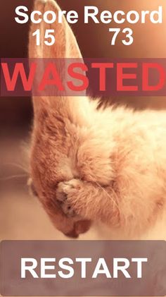 Fluffy Runner: Rabbit Adventur - Screenshot 3