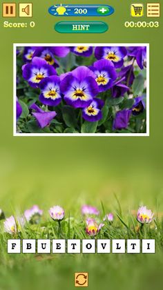 Flowers Quiz - Screenshot 3