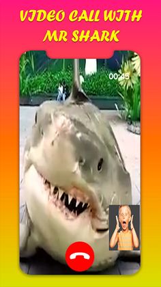 Shark Call Prankster - Screenshot 2