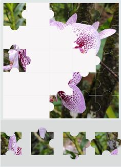 QUEBRA CABEÇAS - Screenshot 1