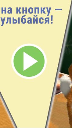 Прикольный Барсик: Анекдоты - Screenshot 4